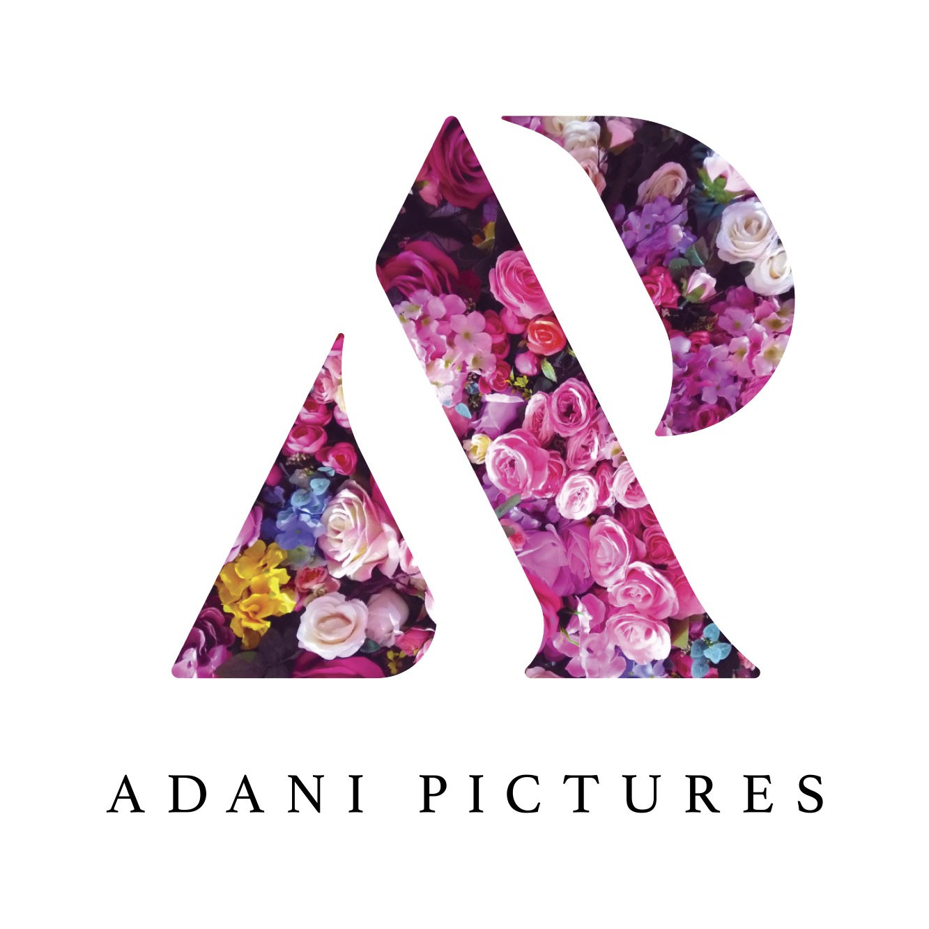 Adani Pictures logo